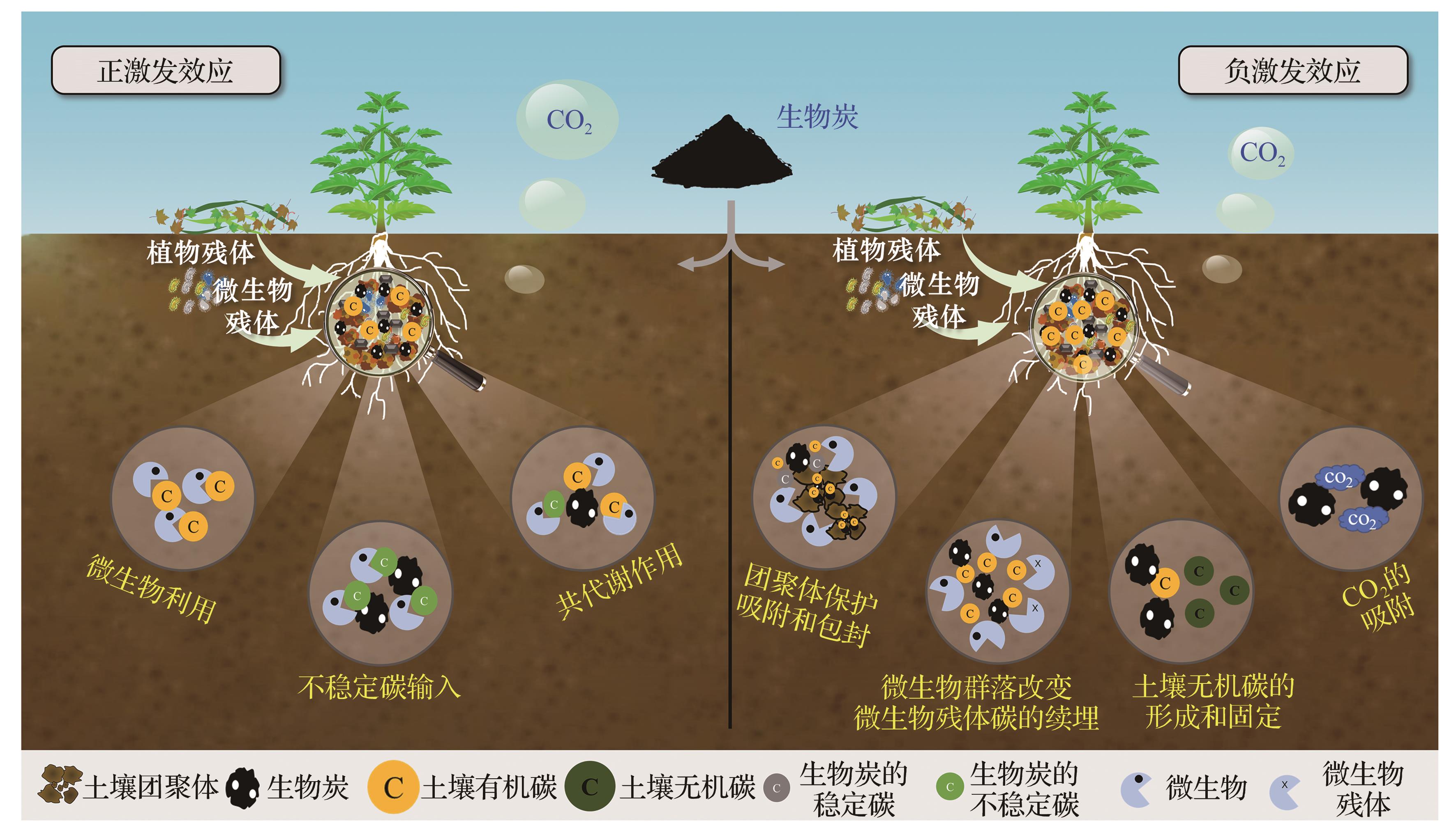 新疆土壤盐碱化治理新思路 | 周晋峰会见中科院水土所研究员王飞-国际环保在线